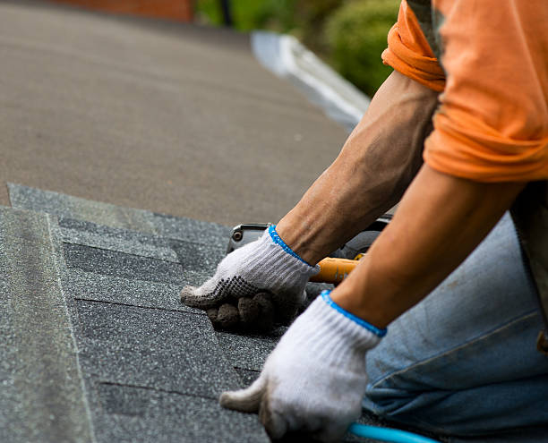 Best Storm Damage Roof Repair  in Tremonton, UT